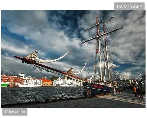 挪威历史助攻数据深度剖析:北欧体育成就与社会变革新纪元 挪威历史助攻数据深度剖析:北欧体育成就与社会变革新纪元