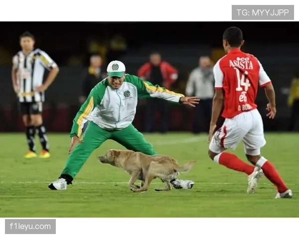 南安普顿球迷发起抗议,呼吁俱乐部聚焦球队未来发展 南安普顿球迷发起抗议,呼吁俱乐部聚焦球队未来发展