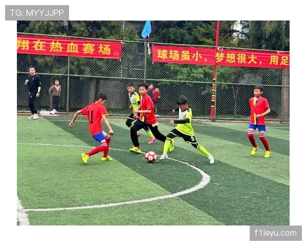 新星闪耀绿茵场,足球界未来之星横空出世 新星闪耀绿茵场,足球界未来之星横空出世