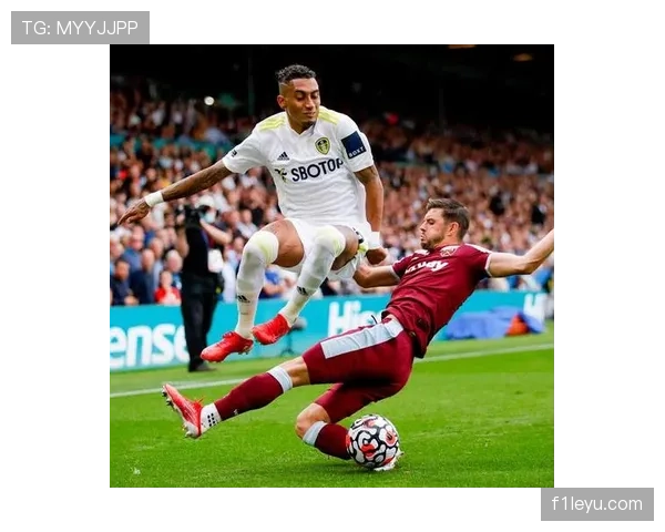 拉菲尼亚盘带技术分析